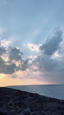 من مِنا البحر، ومن مِنا أغرق الآخر؟🌊 #بحر#امواج#حب_اعمى #sea#bird#fyp #موسيقى_هادئه 