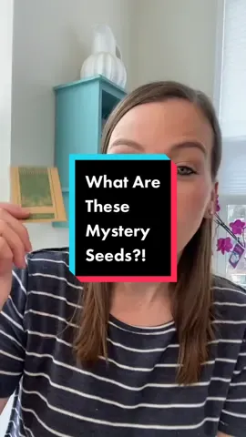 What do you think these mystery herb seeds are?! #herbs #growyourownherbs #mystery 