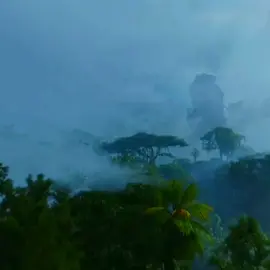 omatikaya clan<3#nflop #viral #foryoupage #avatar #omatikaya #pandora #omatikayaclan #pandoraforest #edit 