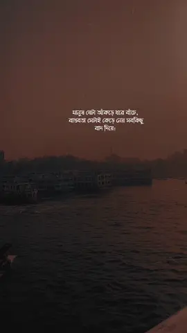 কিছু লাইন লিখে যান প্লিজ #fypシ #fyp #foryou #foryoupage #vairal #vairalvideo #unfrezzmyaccount #bdtiktokofficial 