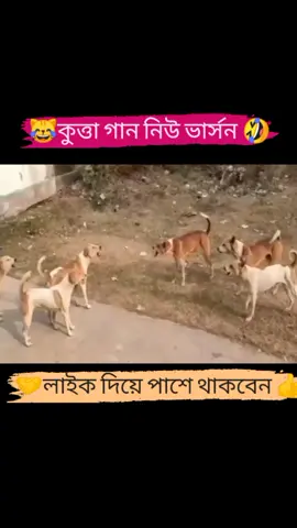 _Bangla dog funny video with song_😹.#foryou #funny #dogfunny #funnysong #trending #songtrend #viralvideo #fyp #reelsvideo #todayviral #comedy #fun