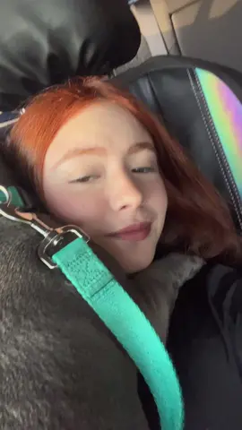 Así voy cuando salgo a pasear con fantom y fendi 😂 buenos diass 