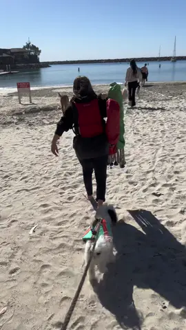 Beach 🏖️ day ,kayaking,paddleboard and cute 🐶 puppies,no sharks 🦈 #downsyndrome #downsyndromeawareness #Montanasheart #autismawareness💙 #danapoint #familytime 