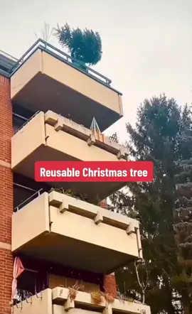 #christmas #tree #balcony #throw #omg #perfect #landing #fy #fyp 