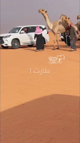 #وعر #الدبوس #الصفر #نخبة_النخبة #النهدي #لطامة #معالي 