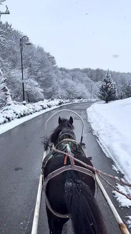 #خيل #ثلج #أذربيجان 