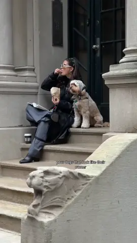 Chic girls stick together #dogsthatlookliketheirowners 
