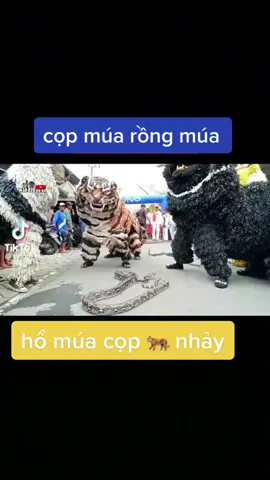 chất lừ🐅🐅