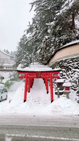Winter, 2023 #koyasan #wakayama #japantrip #高野山 #和歌山