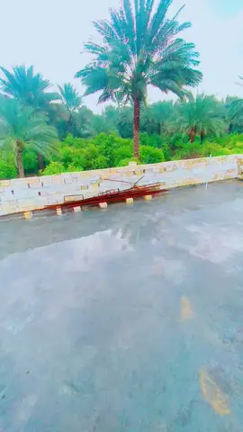 #منطقه_____الجوز_الشرقي #الصويره_مدينتي #لايك_اذا_حبيتو_الفيديوادعمني 