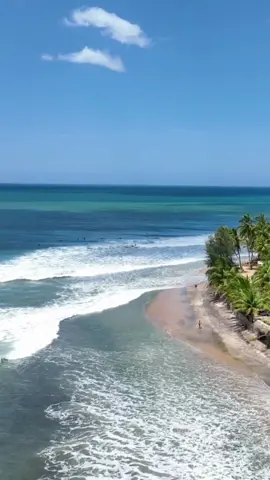 Soaking up the sun and taking in the breathtaking beauty of Arugam Bay's sandy shores and crystal clear waters 🌊 #SoSriLanka #ExploreSriLanka #VisitSriLanka #SriLankaTourism #SriLankaTravel #SriLanka #BeachVibes 