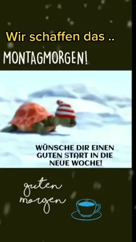 #monatagmorgen #Monatag #foryou #foryoupage #fürdich #fürdichseite #fy #fyp #viral #tiktok #lustig #follower #einzigartig 🌞🌞🌞👍👍👍🌞🌞🌞