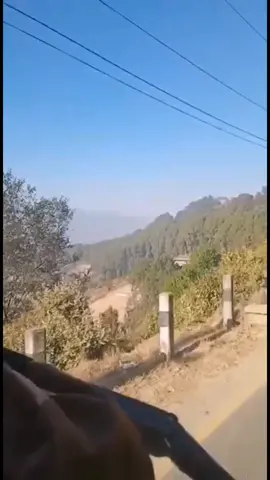 #changunarayan,Telkot hike#magh14video #midbaneshwor_ktm #miterimarg 🤗😊#yoganepal #physicalyoga #foryoupage 