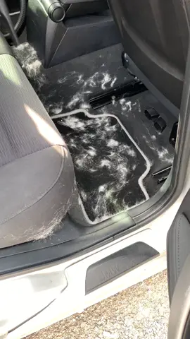 #asmr #detail #fyp #oddlysatisfying #carcleaning #asmrcleaning #satisfyingvideo #satisfying #foryou #pourtoi #detailerdefrance 