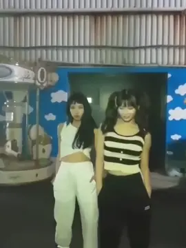 the bugs ☠️ #twicelandia #twicefancam #momo #chaeyoung 