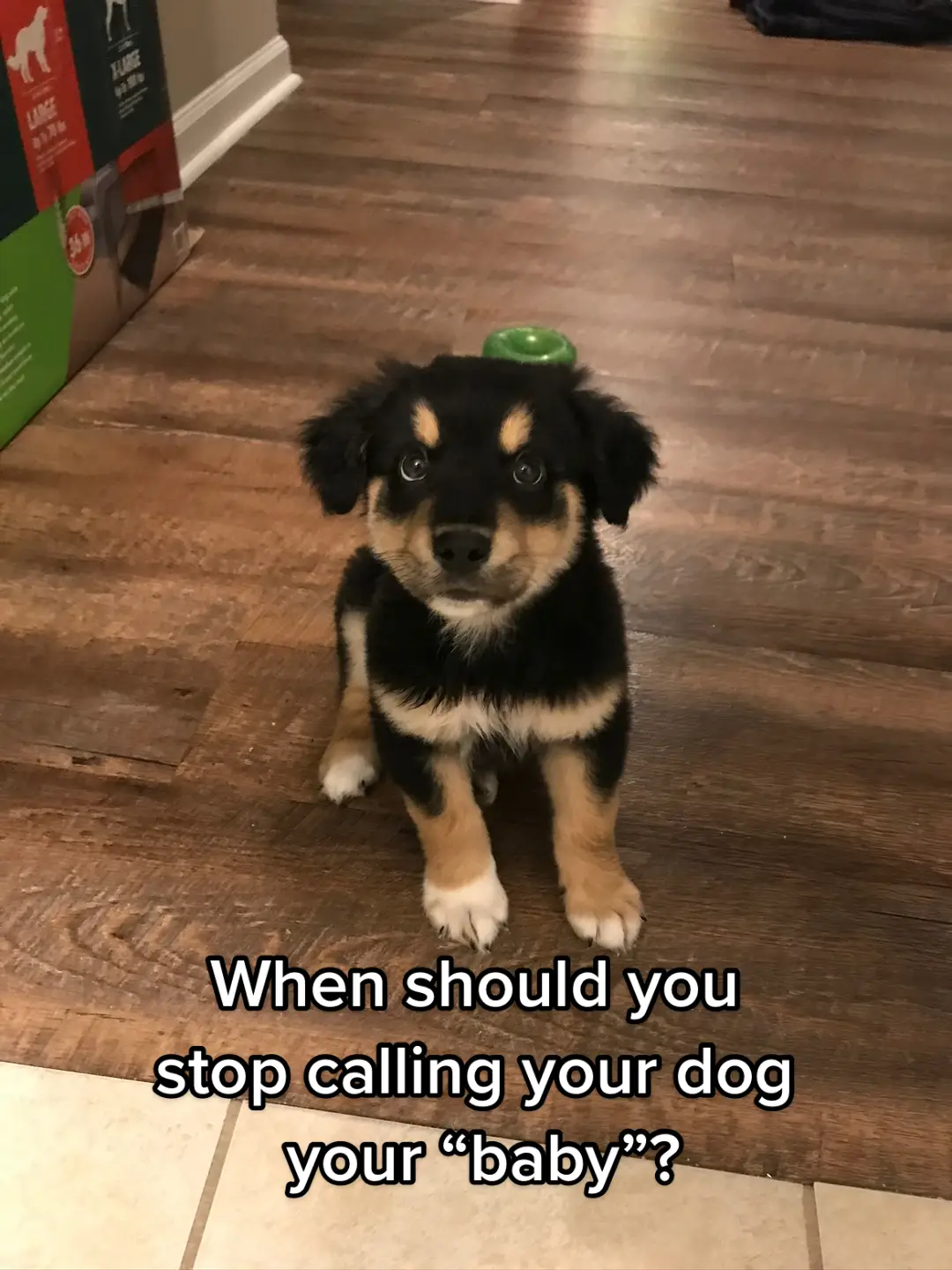 Aka NEVER 