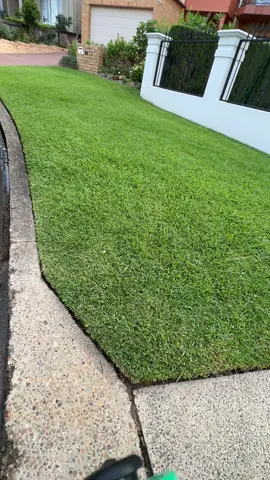 Just a bit off the top #lawns #fyp #satisfying #grasstok #sydney 