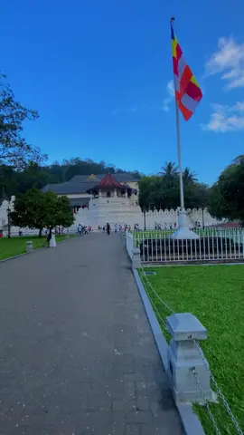 #kandy #traveltiktok #srilankan_tik_tok #travel #visitsrilanka🇱🇰 #visitsrilanka2023 
