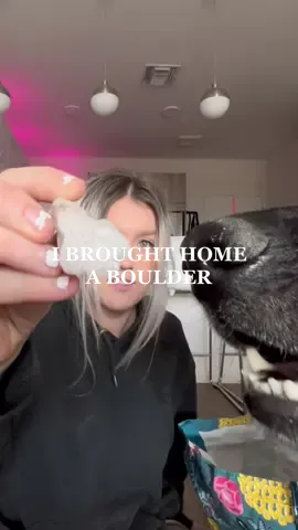 Rock mining not really, i just picked them up😂🤓 #QuakerPregrain #nolongerhomeless #dogsoftiktok #dayinthelife 