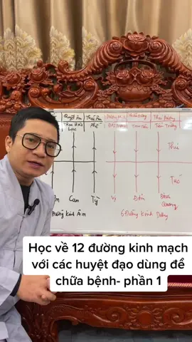 Học về 12 đường kinh mạch với các huyệt đạo dùng để chữa bệnh- phần 1