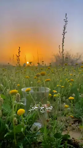 صباح الخير