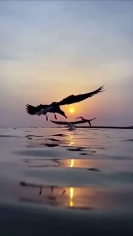 🤍صباح الخير 🤍 #صباح_الخير #موسيقى #الصباح #صباح #الطرب_الاصيل #صباح_ومسا #amazingpic25518 #tiktok #fyp #viral #goodmorning 