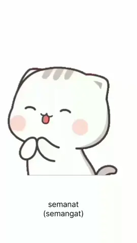 semangat.....  #semangat #gemesss #animals #lucu 