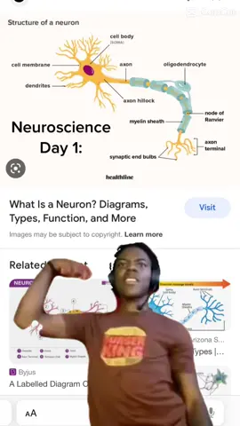 Studying neuroscience be like: #neuro #phd #neuroscience #fyp 