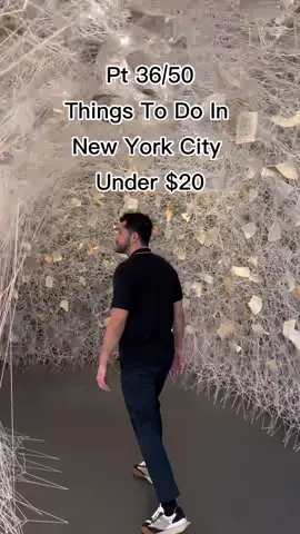Pt 36/50 things to do in New York City under $20 – Signs of Life📍Free exhibit located in Templon Gallery #nyctop3 #nycgallery #chelseanyc 