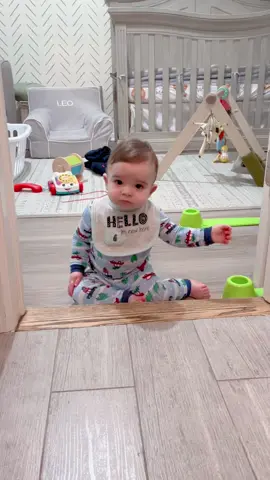 Up & down. His new favorite trick 🥰