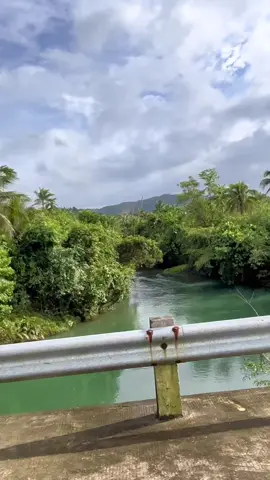 📍Goa, Camarines Sur (PARTIDO), a place where u can find peace 🍃😌#provinceofcamarinessur #bicol #breathfree #nature #🌱 #visitbicol #calm #serenity #peaceful 