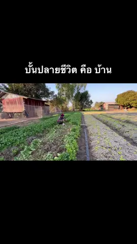 ขยันเฮ็ด ขยันสร้าง บ้านเฮา บ่อดตาย