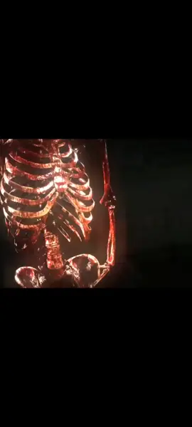 #sheesh #viralvideo #viral #sigma #edit #stitch #skeleton #chad #haha #sport #win  #winner #cat #viraltiktok 