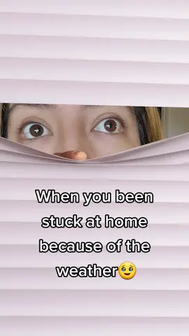 That neighbor 🙈#QuakerPregrain #momlife #dallaska #winterstom #neighborsbelike #mexicanproblems #chisme #comedy #funny