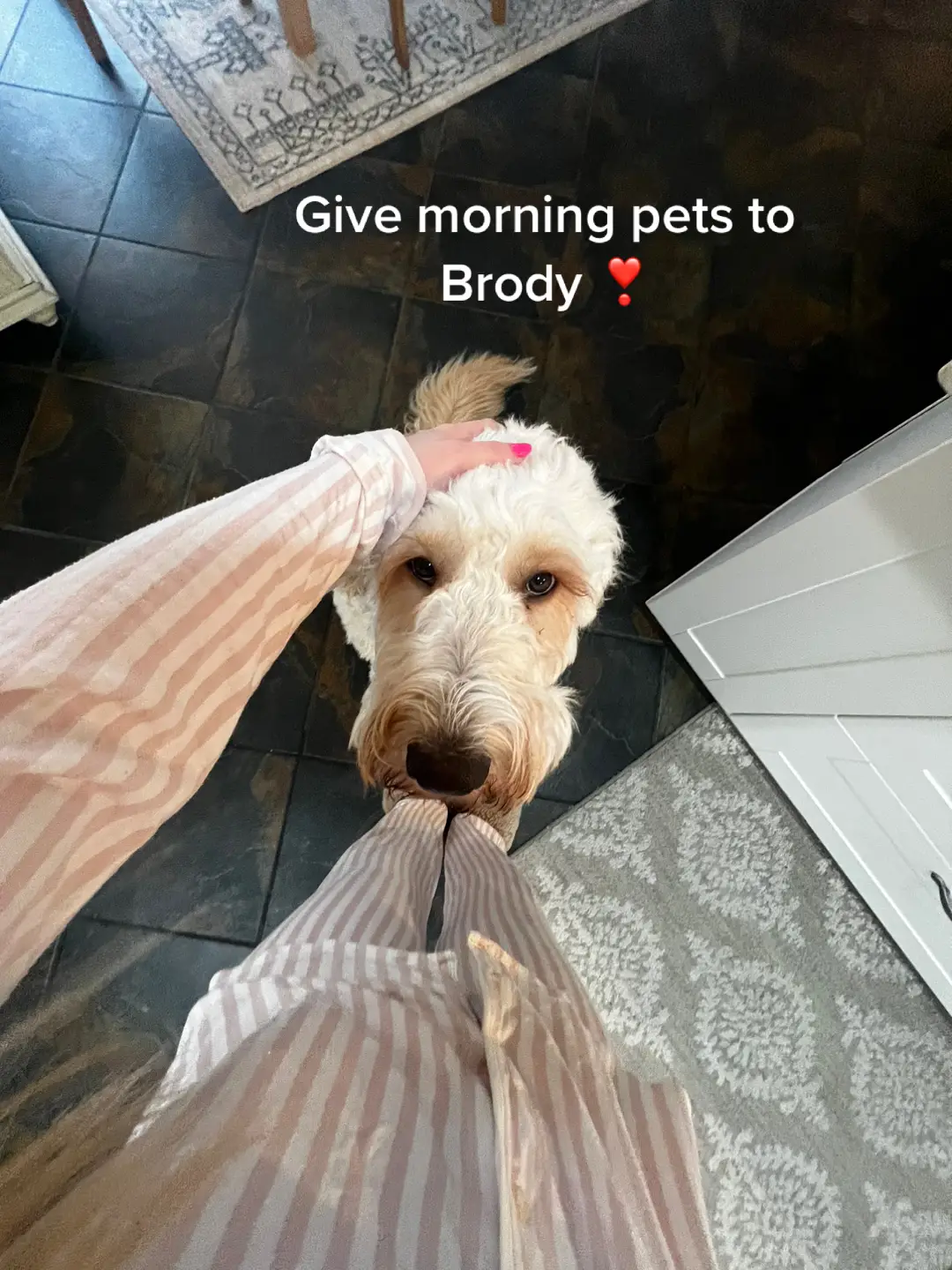 These are so fun to make 🤪 #fyp #foryoupage #fypシ #morningroutine #dayinmylife #dayinmylife #getreadywithme #morninginmylife #Lifestyle #wednesdaymorning #wednesdaymorningroutine 