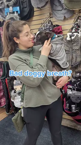 Bad breath? Ren's Pets has you covered all month long with deals on dental treats and toys 🪥 #fypシ #renspets #dogsoftiktok 
