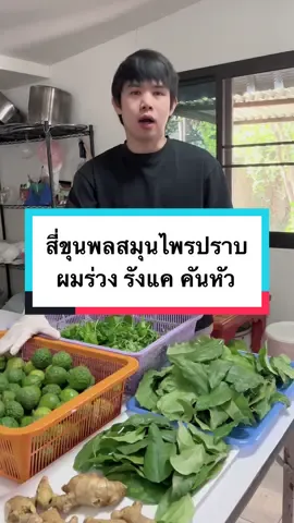 แชมพูสมุนไพรสดสี่ชนิด #จันเนเจอร์ #มะกรูด #ขิง #ใบบัวบก #ใบย่านาง #สมุนไพร #แชมพู #รีวิวบิวตี้ #รีวิวของดีบอกต่อ #ใช้ดีบอกต่อ #รู้หรือไม่ #รู้หรือไม่tiktokuni #ความรู้ 