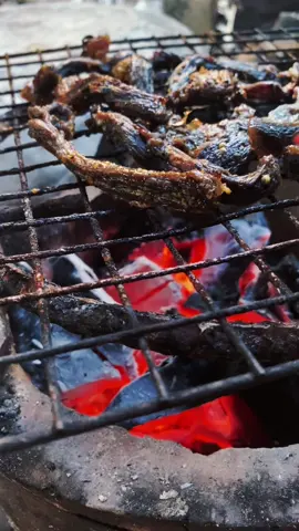 ปิ้งซี้นแห้ง #อาหาร #อาหารอีสาน #อีสานบ้านเฮา #บ้านนอก ##บรรยากาศบ้านเฮา🌾🍃 #อีสานผลัดถิ่น🌾🌿 #ข้าวเหนียวกับซี้นแห้ง 