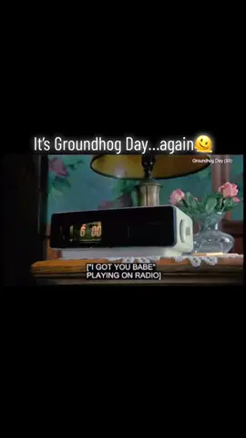 It’s Groundhog Day, again🫠 #groundhogday #fyp #humor #billmurray #groundhog #funny 