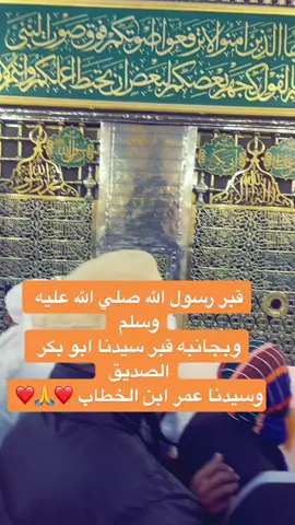#فداك_انا_وابی_وامی_یاسیدی_یارسول_الله #foryou #fypシ #قبر_الرسول 