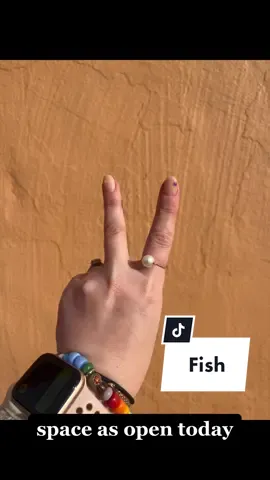 Stop and try this pose for your body today. This is Sukha Matsyasana, or Fish. Let me know how it feels for you! #yoga #yogagirl #yogapose #fish #yogalove #yogateacher 