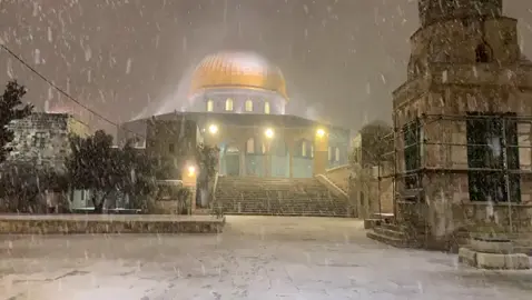 #القدس #المسجد_الاقصى #اقصانا #دمت_يا_اقصى_لنا🇵🇸 #ثلج #قبة_الصخرة_المشرفة #فلسطين #اكسبلور #fyp #اشتقنا #❤️ 