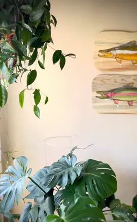 Recent double trout commission #flyfishing #fishing #fishtok #flyfishingart #artistsoftiktok #browntrout #rainbowtrout #fyp 