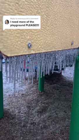Replying to @mstracycurlz ask and you shall recieve🥰 #texasicestorm #atx #austin 