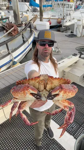 Sustainable Sweet Year-Round Crab! Pre-Order today, Let’s Do This! #crab #crabs #rockcrab #santacruz #eel #fishing #natgeo #fishtok #fish #fisherman #sushi #seafood #sea #friendliestcatch #foryou #ocean #nationalgeographic sustainable crabbing, Santa Cruz, California. 