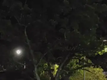 penutup presentasi ni#galaubrutal #fypシ #xyzbca 