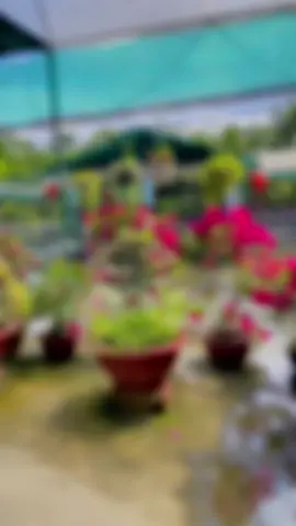 Không rõ ràng #CapCut #xuhuong2022 #xelo 