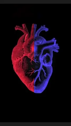 I love this song #hearttoheart #anatomicalycorrectheart #heart #redheart #blueheart #veins