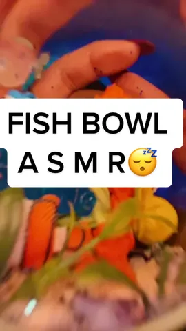 Fishbowl asmr 🐟🐠 #asmr #asmrfyp #fypシ 