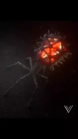 INFECTING THE INFECTION -- Bacteriophages   are a type of virus that kill bacteria. The phages use their own genetic material to high-jack the host cell's machinery and trick it into producing more phages. This ultimately kills the host cell. Phages are able to target bacteria while leaving human cells intact. #biology #biologique #biologymemes #biologynotes #biologystudent #biologylab #biologyclass #biologyteacher #exercisephysiology #physiology #anatomy #anatomyart #microbiologist #microbiologylab #microbiology #microbiologia #microbiologie #animalphysiology #viruses  #virology #santé #medcine #pharmacie #biologia #microbe #anatomy #physiology #humanphysiology#viral #foryou #foryoupage #fyp 